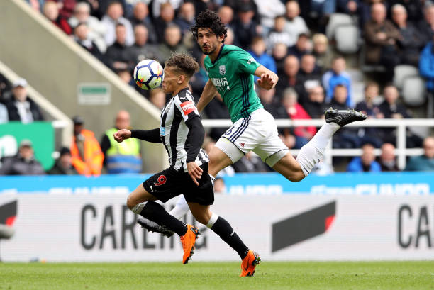 的調整與革 的調整與革